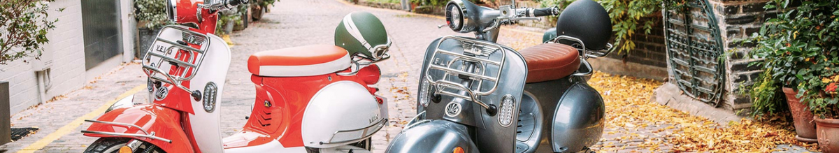 Picture of Electric Mopeds – Eco Bike Co