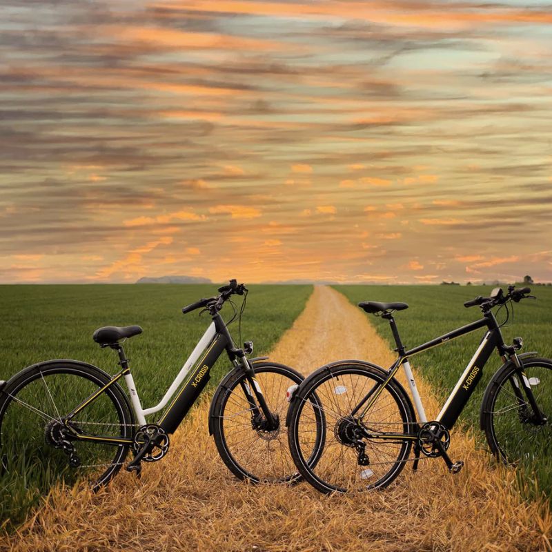 10 Speed Gears
