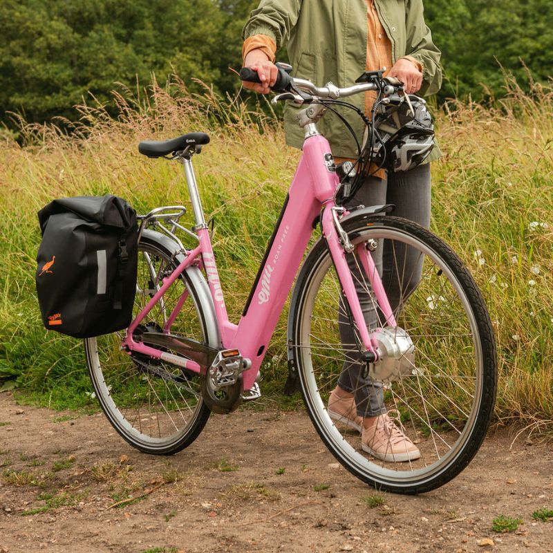 Emu Roam Step Through Electric Bike 250W