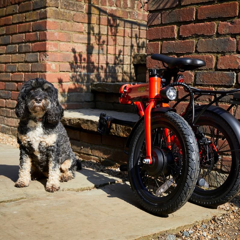 E-Go Lite Folding Electric Bike 250W