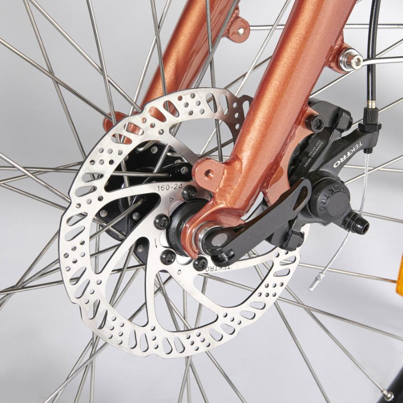 Juicy Bike Neomouv Classic Dutch Style e Bike Eco Bike Co