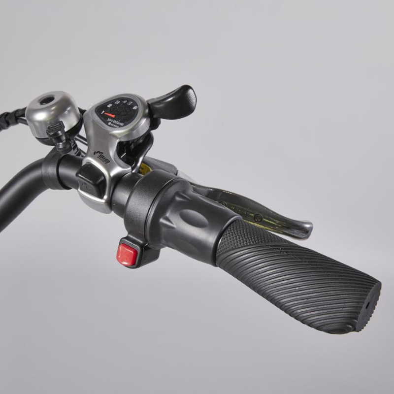 Juicy Bike Neomouv Classic Dutch Style e Bike Eco Bike Co