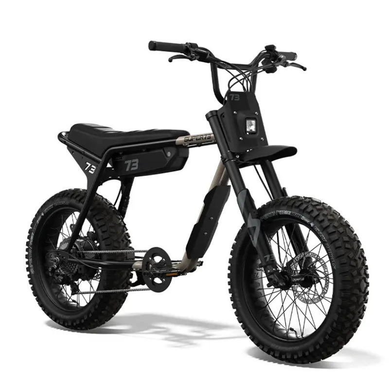 E Bike Bobber Electric Bike Bicicleta Chopper Custom Cruiser