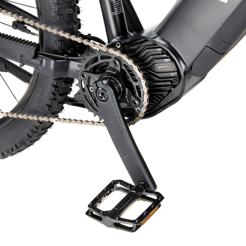 Viking freedom online electric bike