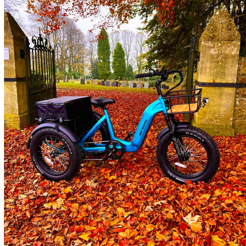 Motorized Fat Tire Trikes Sturdy Stable TK1 FAT20 Fat Tire