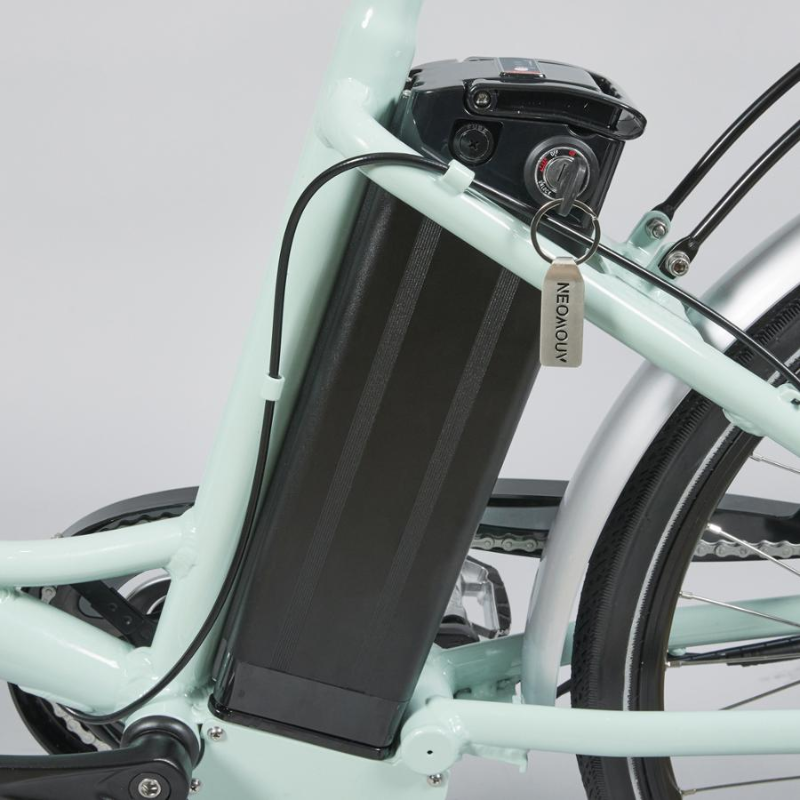 Juicy dutch online style electric bike