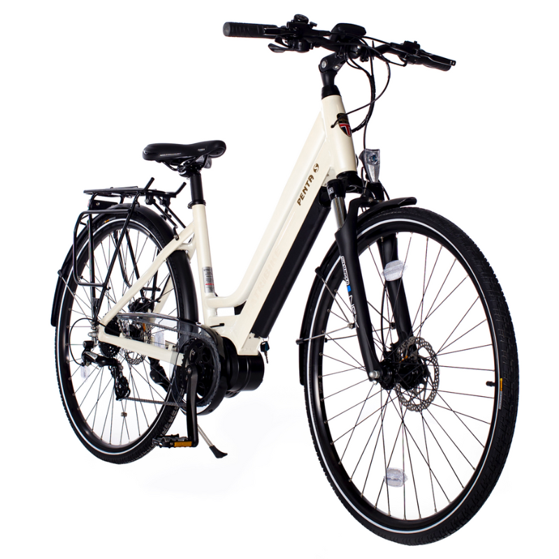 Raleigh librarian electric tricycle