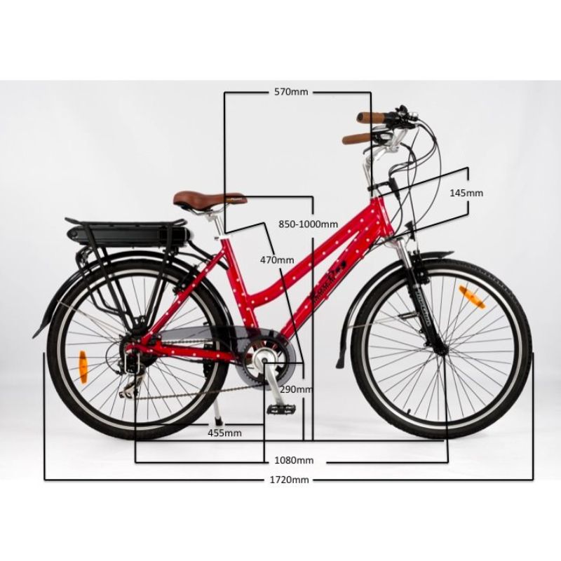 RooDog Polka Dot Women's Step Through Electric Bike