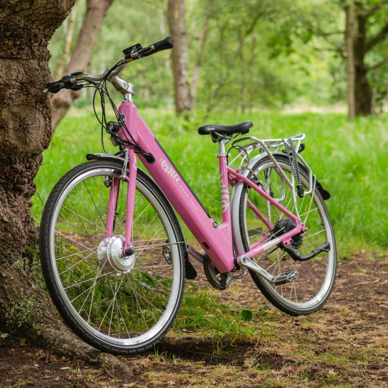 Emu Roam Step Through Electric Bike 250W