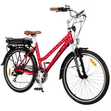 RooDog Polka Dot Women's Step Through Electric Bike