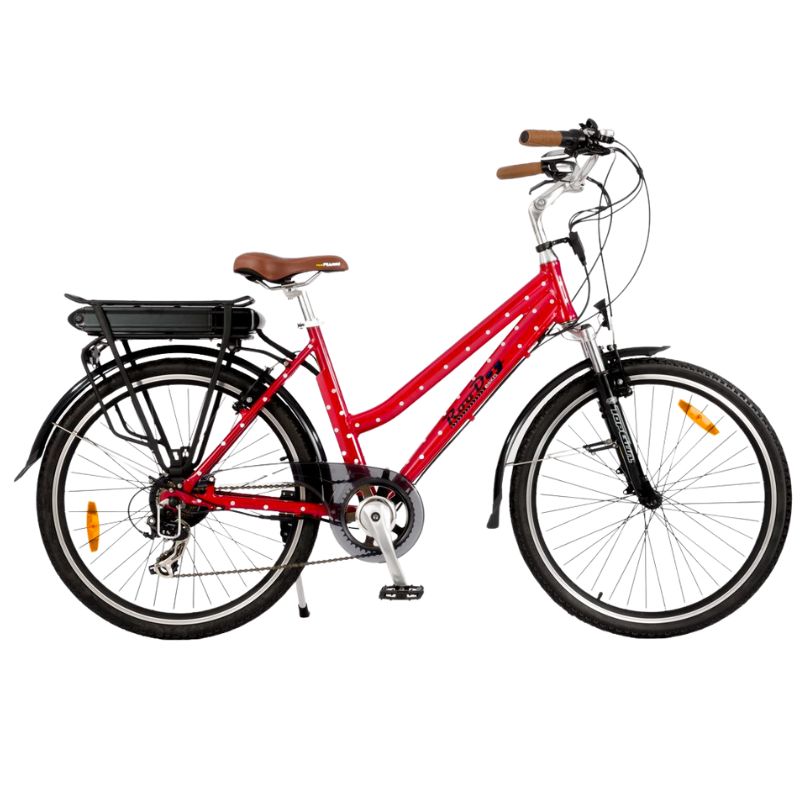 RooDog Polka Dot Women's Step Through Electric Bike