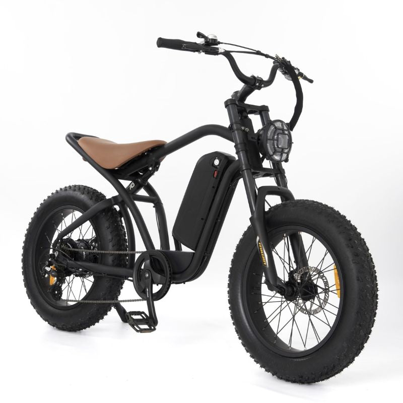 RooDog Rogue Fat Tyre Electric Bike