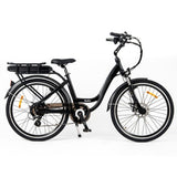 RooDog Chic Step Through Electric Bike