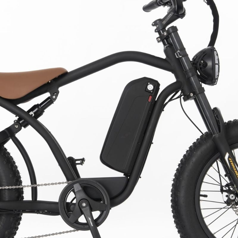 RooDog Rogue Fat Tyre Electric Bike