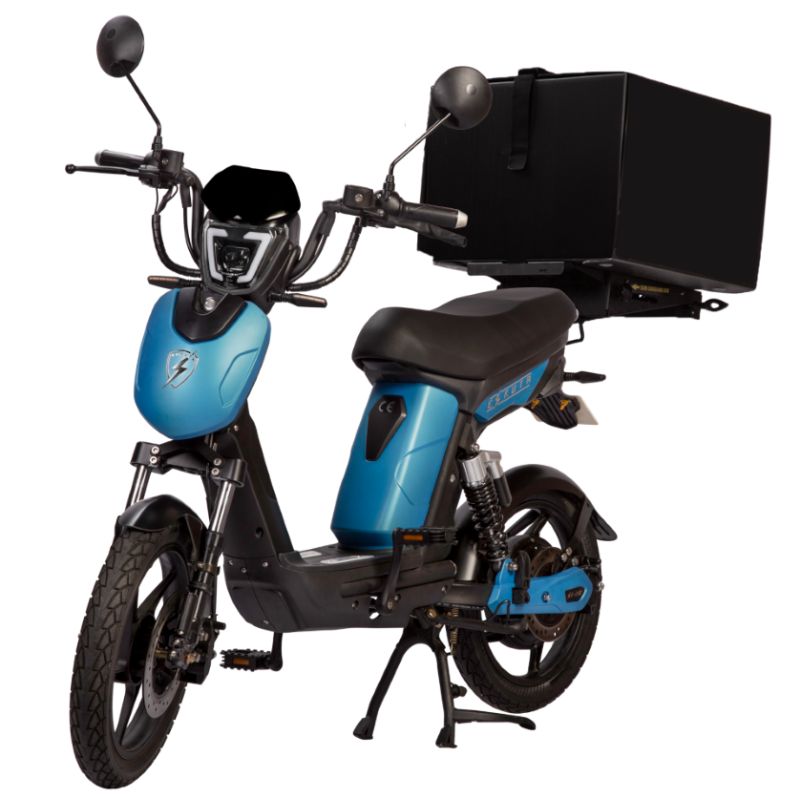 SX-250d Series IV EAPC Electric Bike Eco Bike - Main Image