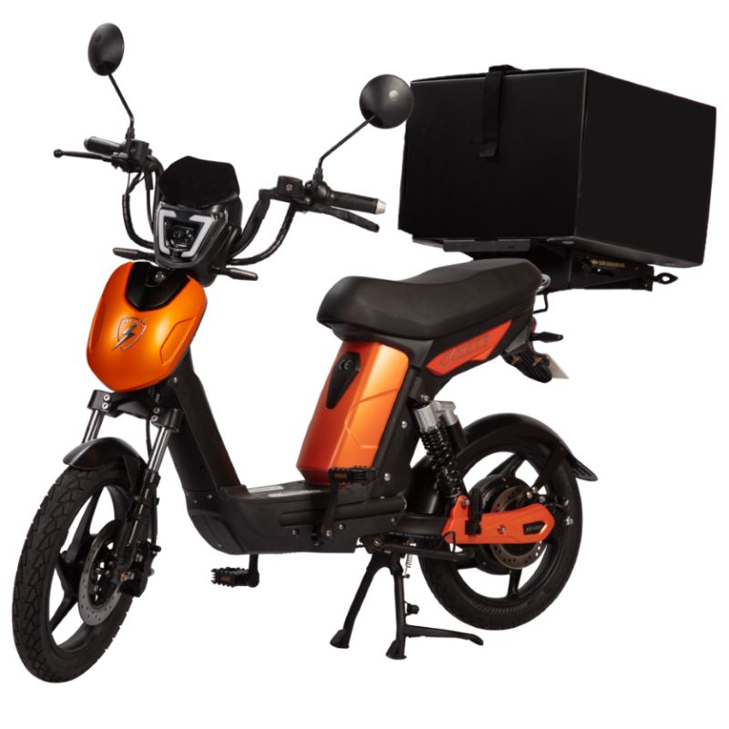 SX-250d Series IV EAPC Electric Bike Eco Bike