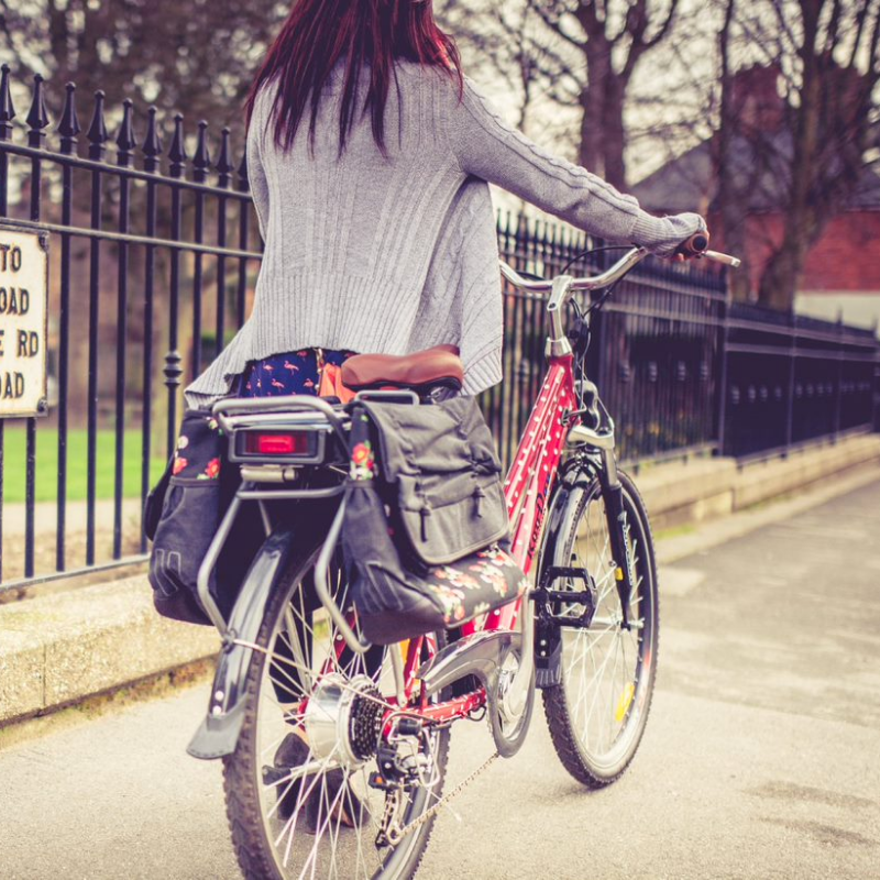 RooDog Polka Dot Women's Step Through Electric Bike