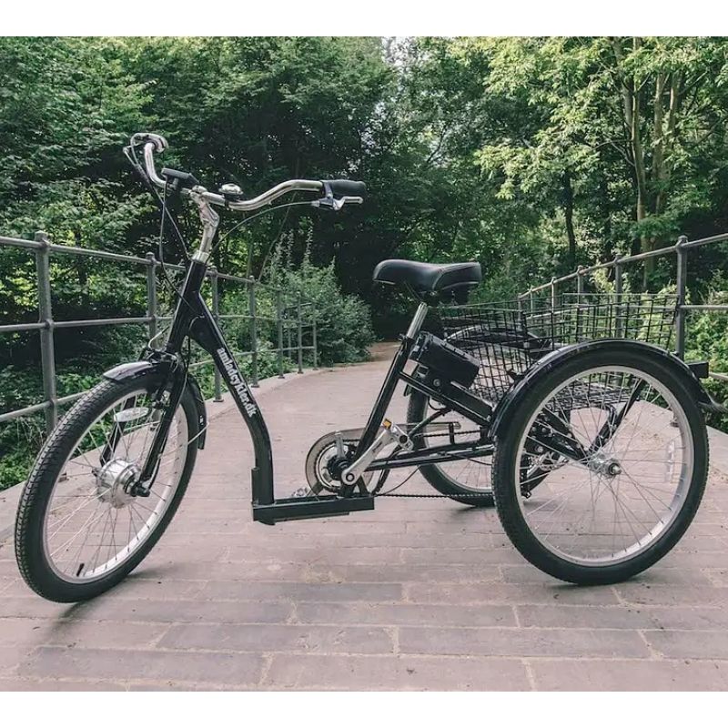 Fafrees F20 Mate Tricycle vélo électrique pliant 20"*3.0", batterie 48V Fafrees F20 Mate Tricycle vélo électrique pliant 20"*3.0", batterie 48V