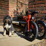E-Go Lite Folding Electric Bike 250W
