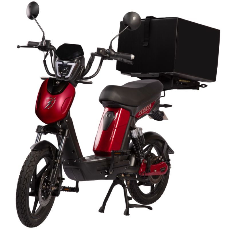 SX-250d Series IV EAPC Electric Bike Eco Bike - Main Image