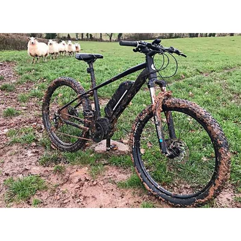 mbm trekkingrad MBM Metis Electric Mountain Bike