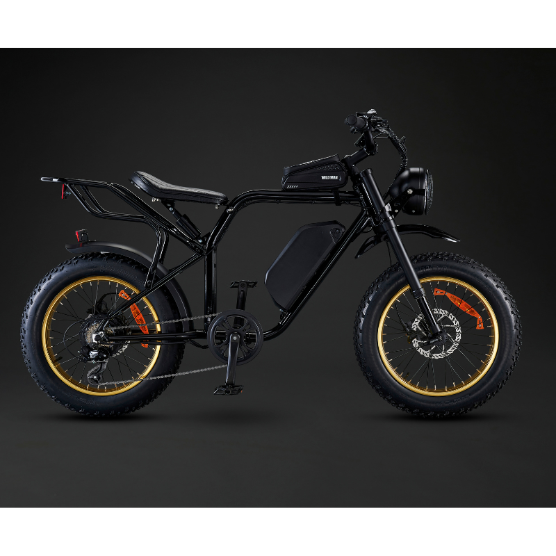 Red Rocket Lifestyle Rocket SX Sport Utility Electric Bike 250W Eco Bike Co