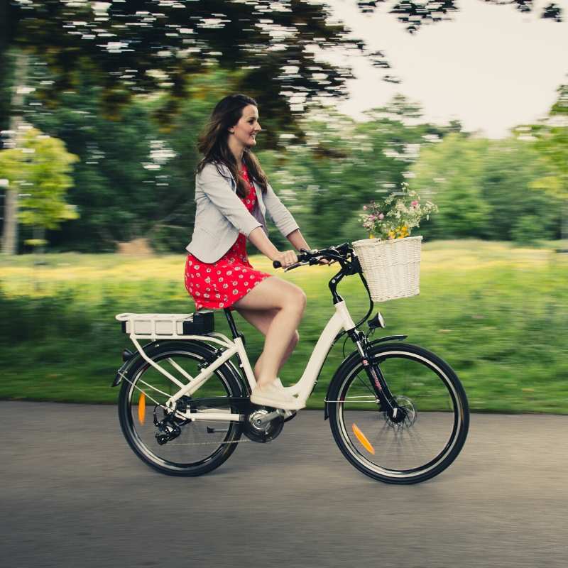 RooDog Chic Step Through Electric Bike