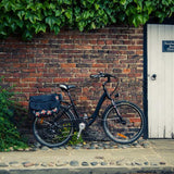 RooDog Chic Step Through Electric Bike