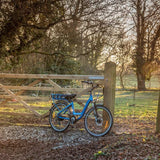 RooDog Chic Step Through Electric Bike