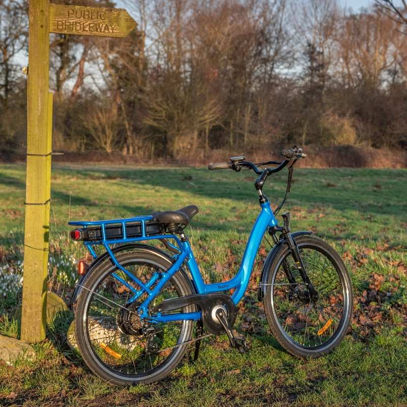 RooDog Chic Step Through Electric Bike
