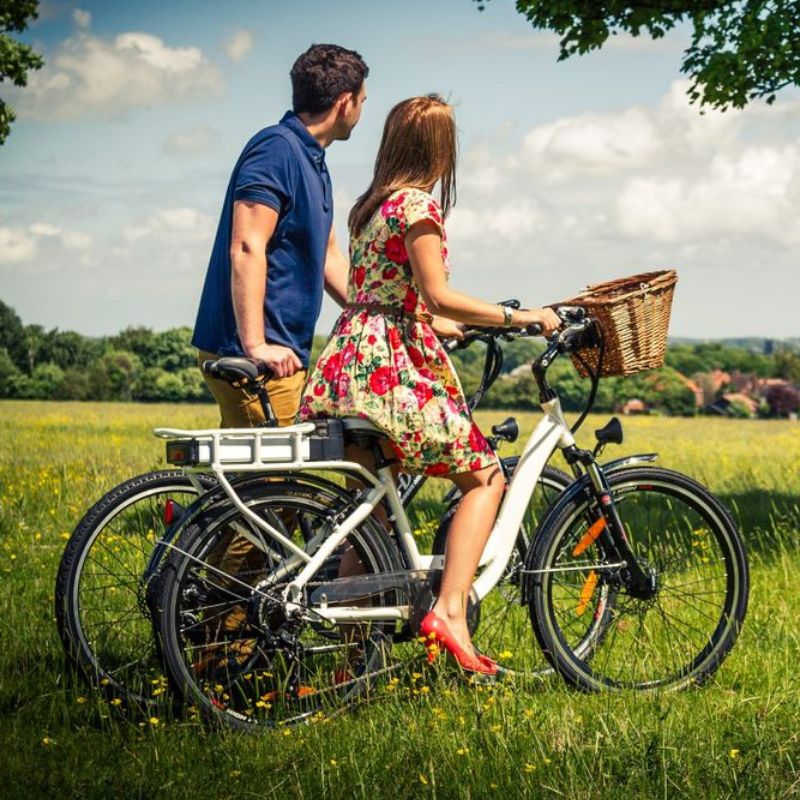 RooDog Chic Step Through Electric Bike
