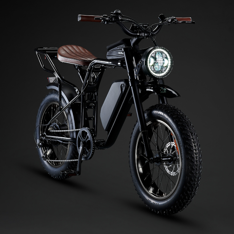 Electric Chopper Bike Eco Bike Co